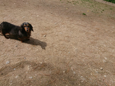 f:id:roukenhome-ann:20190429073650j:plain f:id:roukenhome-ann:20190429073650j:plain