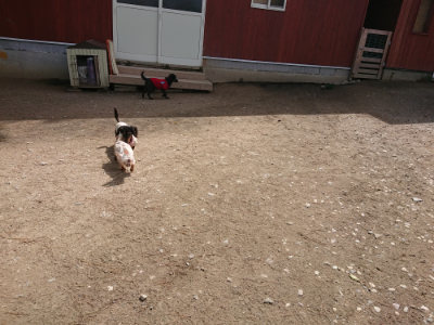 f:id:roukenhome-ann:20190429073700j:plain f:id:roukenhome-ann:20190429073700j:plain