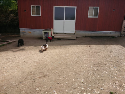 f:id:roukenhome-ann:20190429073714j:plain f:id:roukenhome-ann:20190429073714j:plain