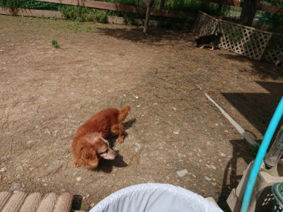f:id:roukenhome-ann:20190429073724j:plain f:id:roukenhome-ann:20190429073724j:plain