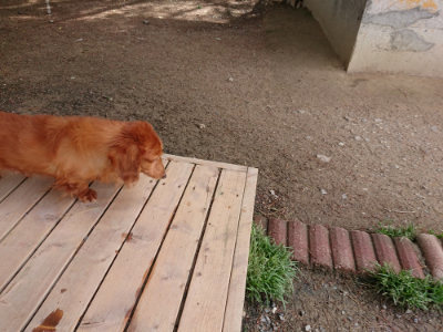 f:id:roukenhome-ann:20190429073734j:plain f:id:roukenhome-ann:20190429073734j:plain
