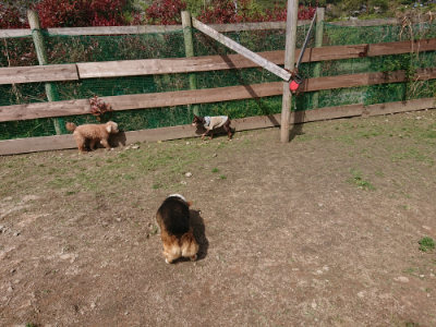 f:id:roukenhome-ann:20190429073749j:plain f:id:roukenhome-ann:20190429073749j:plain