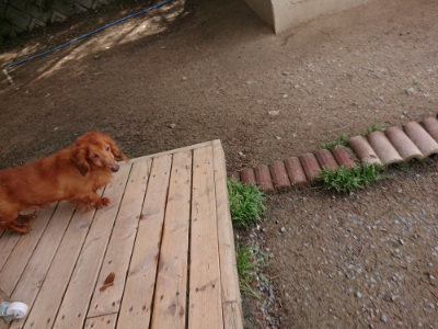 f:id:roukenhome-ann:20190429073754j:plain f:id:roukenhome-ann:20190429073754j:plain