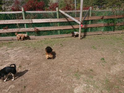 f:id:roukenhome-ann:20190429073804j:plain f:id:roukenhome-ann:20190429073804j:plain