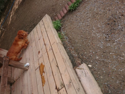 f:id:roukenhome-ann:20190429073809j:plain f:id:roukenhome-ann:20190429073809j:plain