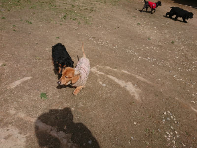 f:id:roukenhome-ann:20190429073824j:plain f:id:roukenhome-ann:20190429073824j:plain