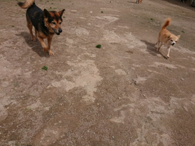 f:id:roukenhome-ann:20190429074024j:plain f:id:roukenhome-ann:20190429074024j:plain