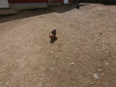 f:id:roukenhome-ann:20190429074034j:plain f:id:roukenhome-ann:20190429074034j:plain