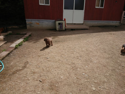 f:id:roukenhome-ann:20190429074043j:plain f:id:roukenhome-ann:20190429074043j:plain