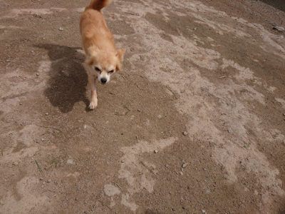 f:id:roukenhome-ann:20190429074118j:plain f:id:roukenhome-ann:20190429074118j:plain
