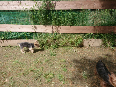 f:id:roukenhome-ann:20190429074138j:plain f:id:roukenhome-ann:20190429074138j:plain