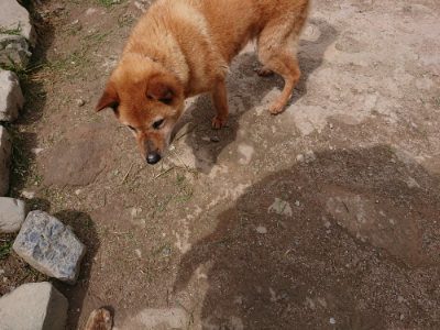 f:id:roukenhome-ann:20190429074145j:plain f:id:roukenhome-ann:20190429074145j:plain