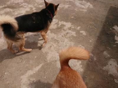 f:id:roukenhome-ann:20190429074154j:plain f:id:roukenhome-ann:20190429074154j:plain