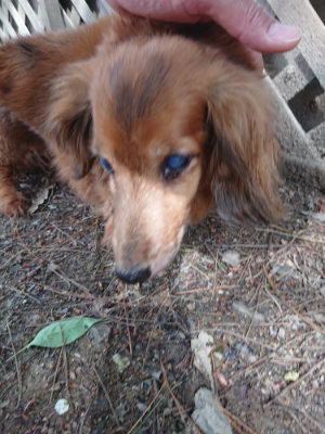 f:id:roukenhome-ann:20190429074203j:plain f:id:roukenhome-ann:20190429074203j:plain