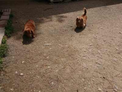 f:id:roukenhome-ann:20190429074243j:plain f:id:roukenhome-ann:20190429074243j:plain
