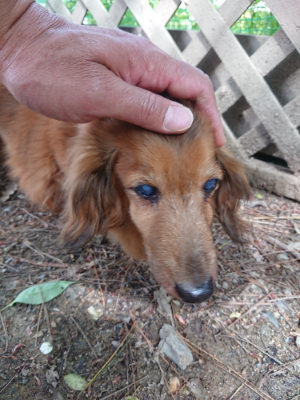 f:id:roukenhome-ann:20190429074247j:plain f:id:roukenhome-ann:20190429074247j:plain