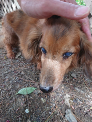 f:id:roukenhome-ann:20190429074300j:plain f:id:roukenhome-ann:20190429074300j:plain