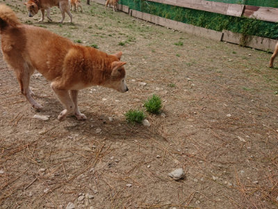 f:id:roukenhome-ann:20190429074305j:plain f:id:roukenhome-ann:20190429074305j:plain