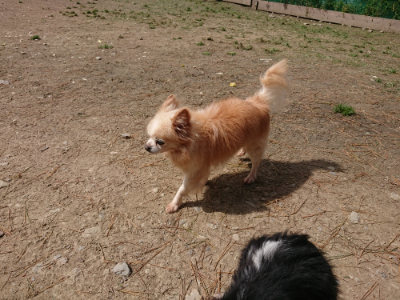 f:id:roukenhome-ann:20190429074310j:plain f:id:roukenhome-ann:20190429074310j:plain