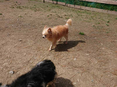 f:id:roukenhome-ann:20190429074323j:plain f:id:roukenhome-ann:20190429074323j:plain