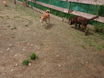 f:id:roukenhome-ann:20190429074333j:plain f:id:roukenhome-ann:20190429074333j:plain