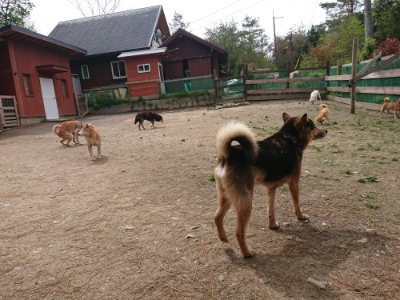 f:id:roukenhome-ann:20190429074339j:plain f:id:roukenhome-ann:20190429074339j:plain