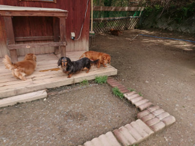 f:id:roukenhome-ann:20190429074348j:plain f:id:roukenhome-ann:20190429074348j:plain