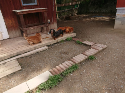 f:id:roukenhome-ann:20190429074407j:plain f:id:roukenhome-ann:20190429074407j:plain