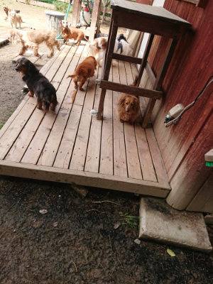 f:id:roukenhome-ann:20190429074412j:plain f:id:roukenhome-ann:20190429074412j:plain