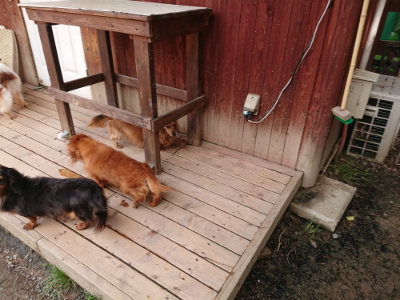 f:id:roukenhome-ann:20190429074421j:plain f:id:roukenhome-ann:20190429074421j:plain