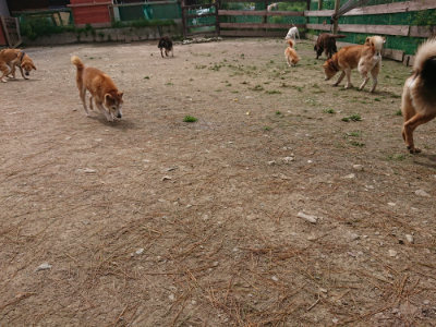 f:id:roukenhome-ann:20190429074427j:plain f:id:roukenhome-ann:20190429074427j:plain