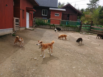 f:id:roukenhome-ann:20190429074442j:plain f:id:roukenhome-ann:20190429074442j:plain