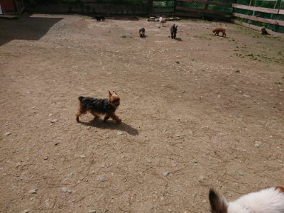 f:id:roukenhome-ann:20190429074447j:plain f:id:roukenhome-ann:20190429074447j:plain