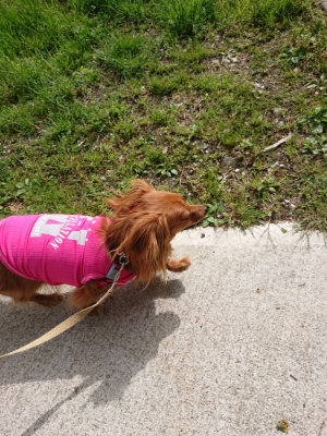 f:id:roukenhome-ann:20190429074529j:plain f:id:roukenhome-ann:20190429074529j:plain