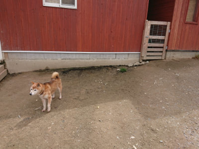 f:id:roukenhome-ann:20190429074533j:plain f:id:roukenhome-ann:20190429074533j:plain