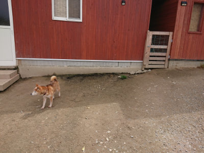 f:id:roukenhome-ann:20190429074542j:plain f:id:roukenhome-ann:20190429074542j:plain