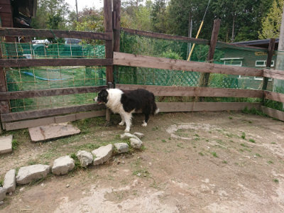f:id:roukenhome-ann:20190429074710j:plain f:id:roukenhome-ann:20190429074710j:plain