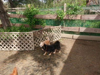 f:id:roukenhome-ann:20190429074721j:plain f:id:roukenhome-ann:20190429074721j:plain