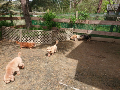 f:id:roukenhome-ann:20190429074752j:plain f:id:roukenhome-ann:20190429074752j:plain