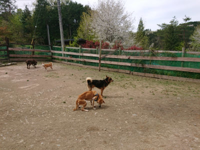 f:id:roukenhome-ann:20190429074802j:plain f:id:roukenhome-ann:20190429074802j:plain
