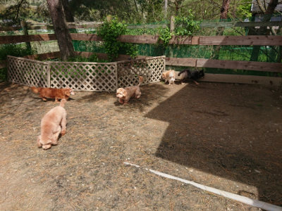 f:id:roukenhome-ann:20190429074807j:plain f:id:roukenhome-ann:20190429074807j:plain