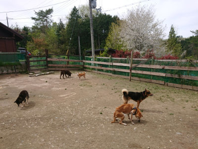 f:id:roukenhome-ann:20190429074817j:plain f:id:roukenhome-ann:20190429074817j:plain