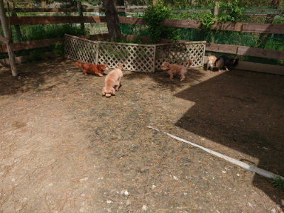 f:id:roukenhome-ann:20190429074822j:plain f:id:roukenhome-ann:20190429074822j:plain
