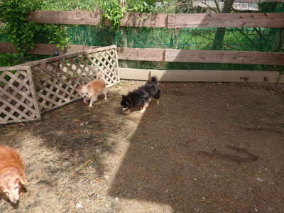 f:id:roukenhome-ann:20190429074838j:plain f:id:roukenhome-ann:20190429074838j:plain