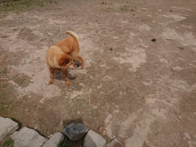 f:id:roukenhome-ann:20190429074844j:plain f:id:roukenhome-ann:20190429074844j:plain