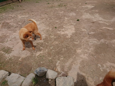 f:id:roukenhome-ann:20190429074903j:plain f:id:roukenhome-ann:20190429074903j:plain