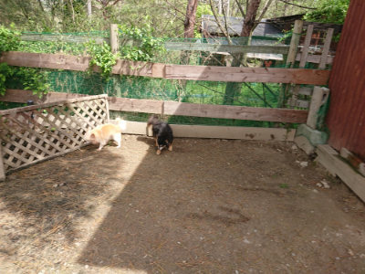 f:id:roukenhome-ann:20190429074913j:plain f:id:roukenhome-ann:20190429074913j:plain