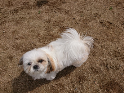 f:id:roukenhome-ann:20190429074918j:plain f:id:roukenhome-ann:20190429074918j:plain