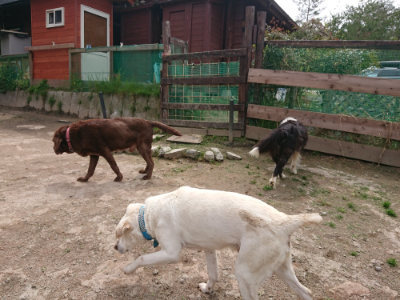 f:id:roukenhome-ann:20190429074938j:plain f:id:roukenhome-ann:20190429074938j:plain
