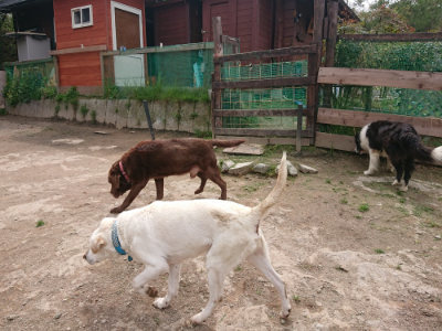 f:id:roukenhome-ann:20190429074943j:plain f:id:roukenhome-ann:20190429074943j:plain